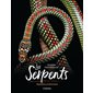 Les serpents : mystérieux et étonnants