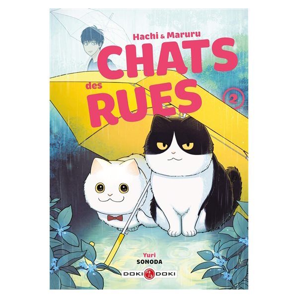 Hachi & Maruru : chats des rues, Vol. 2