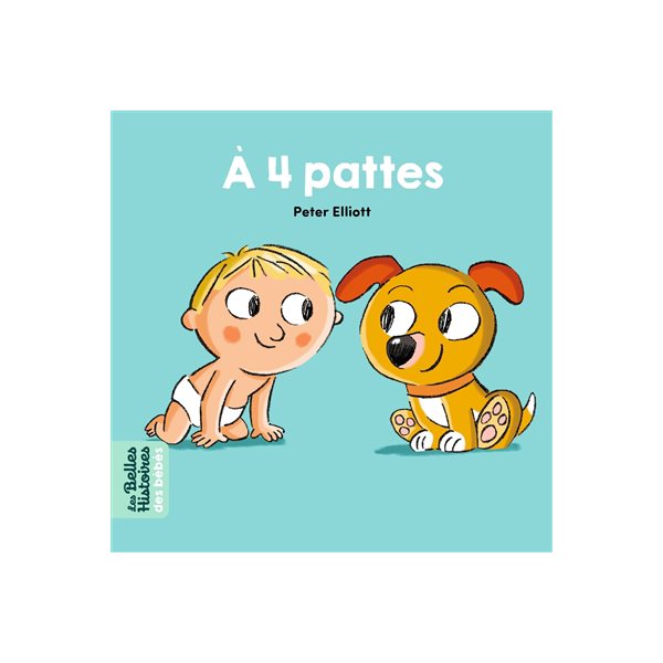 A 4 pattes