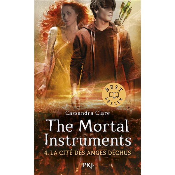 La cité des anges déchus, Tome 4, The mortal instruments