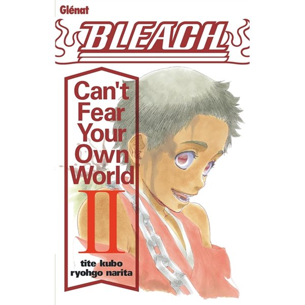 Bleach : can't fear your own world, Vol. 2
