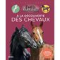 A la découverte des chevaux : des quiz et des zooms sur les métiers du cheva