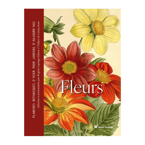 Fleurs : planches botaniques d'hier pour jardins d'aujourd'hui
