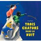 Trois chatons dans la nuit