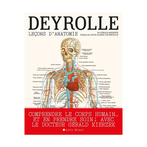 Deyrolle : leçons d'anatomie