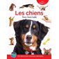 Les chiens : À la découverte d’animaux attachants