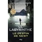 Le labyrinthe : le destin de Newt, L'épreuve, 3574
