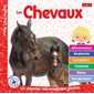 Les chevaux : Un premier documentaire photos