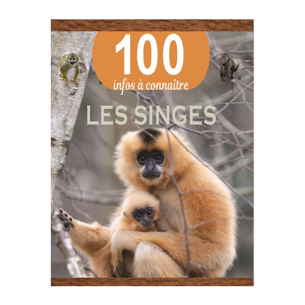 Les singes, 100 infos à connaître