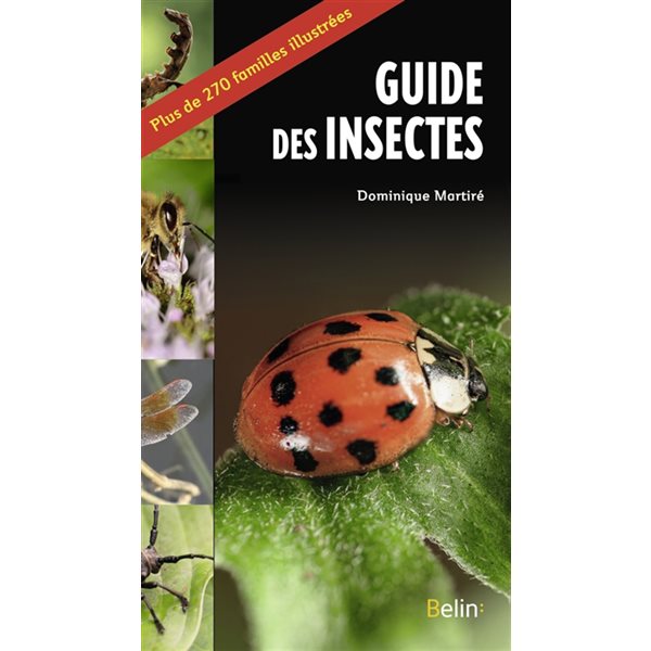 Guide des insectes : plus de 270 familles illustrées