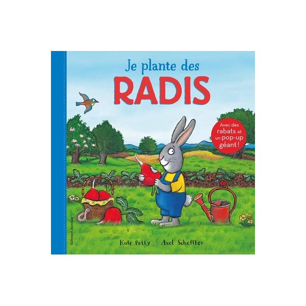 Je plante des radis