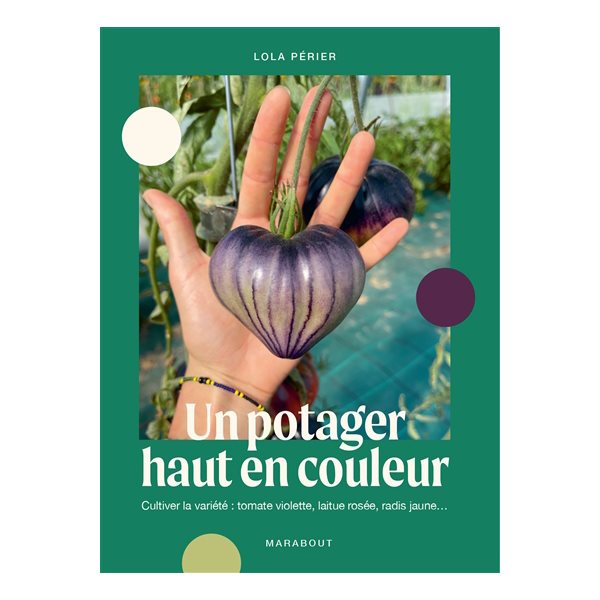 Un potager haut en couleur : cultiver la variété : tomate violette, laitue rosée, radis jaune...