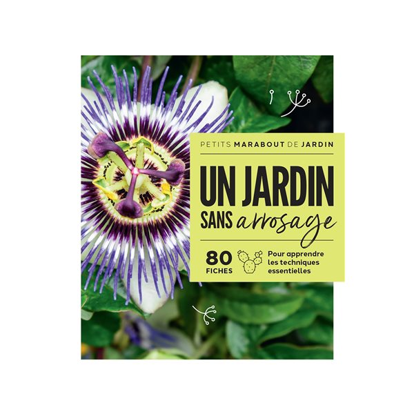 Un jardin sans arrosage : 80 fiches pour apprendre les techniques essentielles