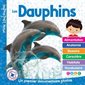 Les dauphins : Un premier documentaire photos