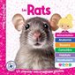 Les Rats : Un premier documentaire photos