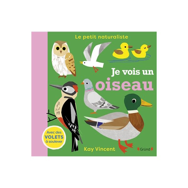 Je vois un oiseau