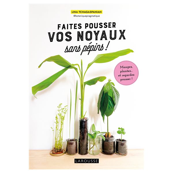 Faites pousser vos noyaux sans pépins !