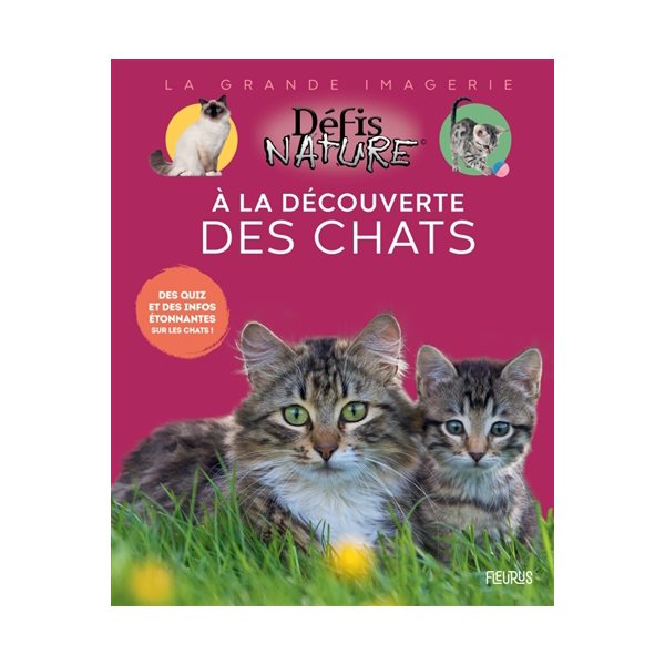 A la découverte des chats : des quiz et des infos étonnantes sur les chats !