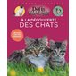 A la découverte des chats : des quiz et des infos étonnantes sur les chats !