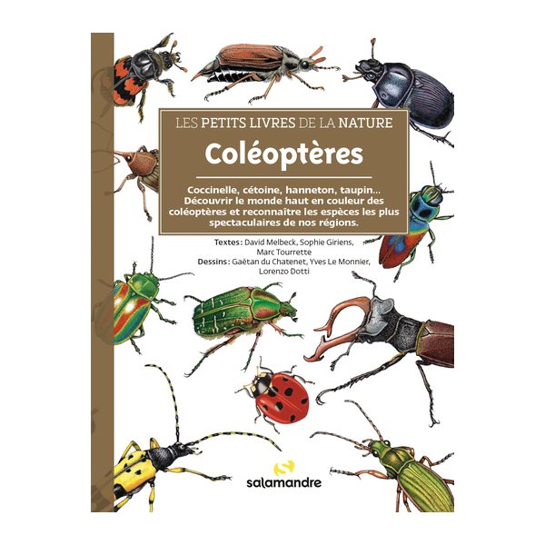 Coléoptères : coccinelle, cétoine, hanneton, taupin... : découvrir le monde haut en couleur des coléoptères et reconnaître les espèces les plus spectaculaires de nos régions