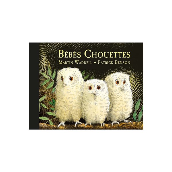 Bébés chouettes