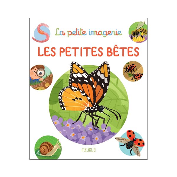 Les petites bêtes, Tome 35, La petite imagerie