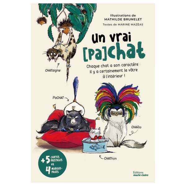 Un vrai (pa)chat : chaque chat a son caractère : il y a certainement le vôtre à l'intérieur !