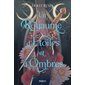 Un royaume d'étoiles et d'ombres, Tome 1, L'étoile et l'ombre