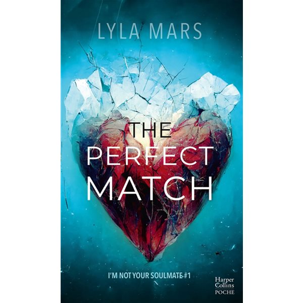 The perfect match, Tome 1, I'm not your soulmate