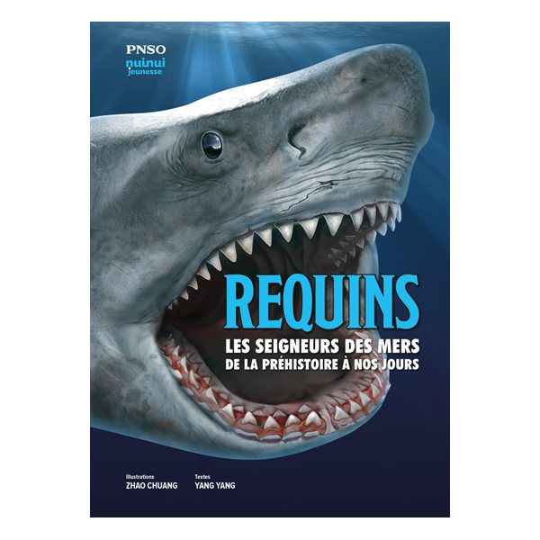 Requins : les seigneurs des mers de la préhistoire à nos jours