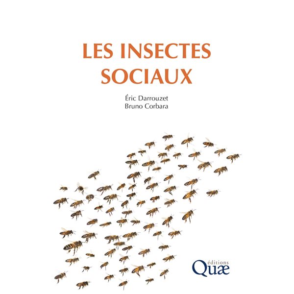 Les insectes sociaux