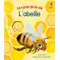 L'abeille, Le cycle de la vie