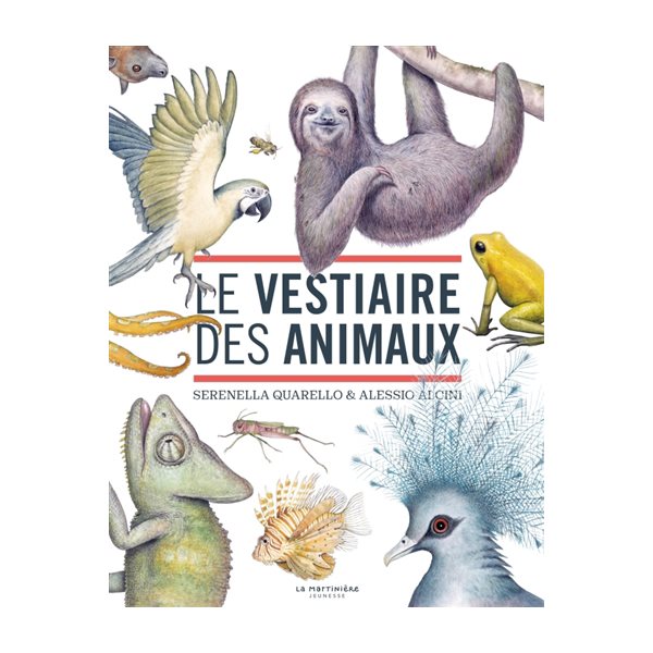 Le vestiaire des animaux