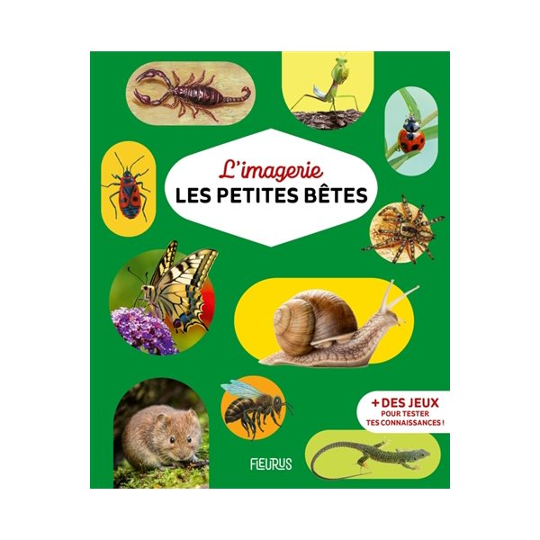 Les petites bêtes, Imagerie...