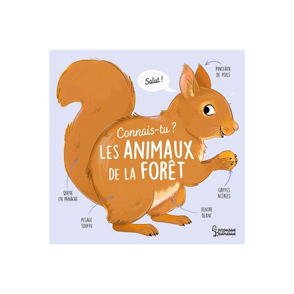 Connais-tu les animaux de la forêt ?