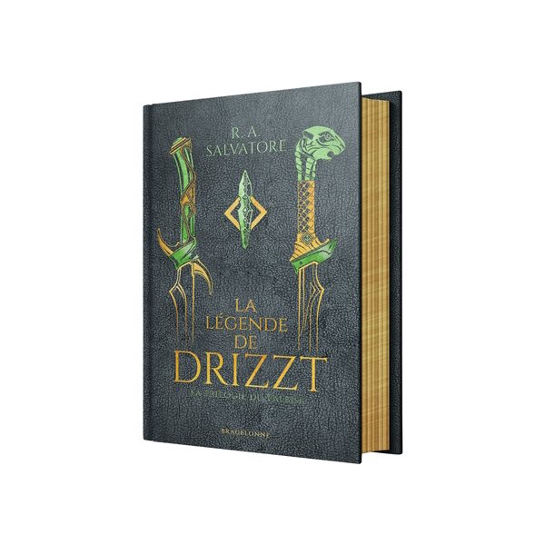 Les royaumes oubliés : la légende de Drizzt : la trilogie du Val Bise