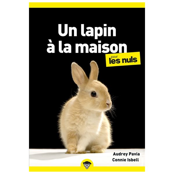 Un lapin à la maison pour les nuls