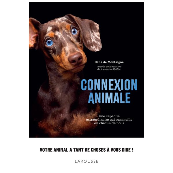 Connexion animale : une capacité extraordinaire qui sommeille en chacun de nous