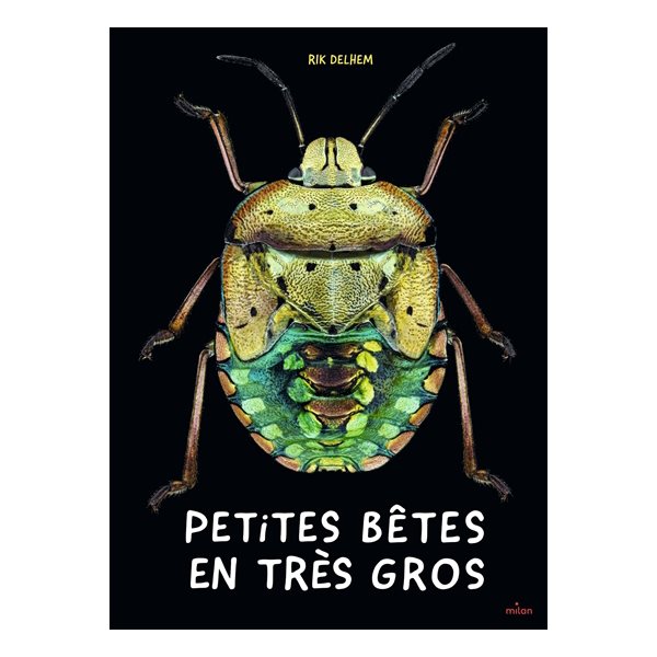 Petites bêtes en très gros