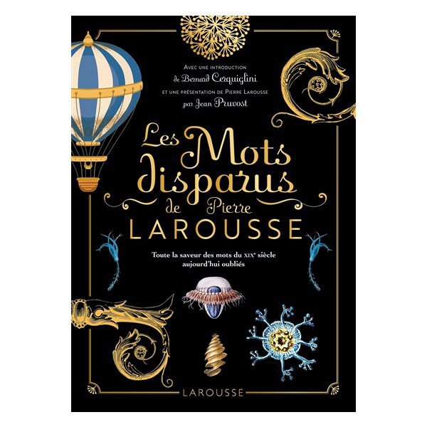 Les mots disparus de Pierre Larousse : toute la saveur des mots du XIXe siècle aujourd'hui oubliés