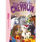 Joyeuses fêtes !, Tome 47, Mes amis les chevaux