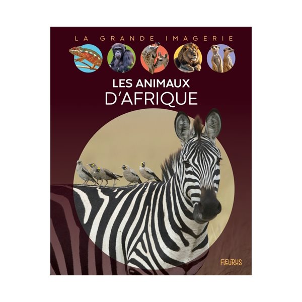 Les animaux d'Afrique, La grande imagerie