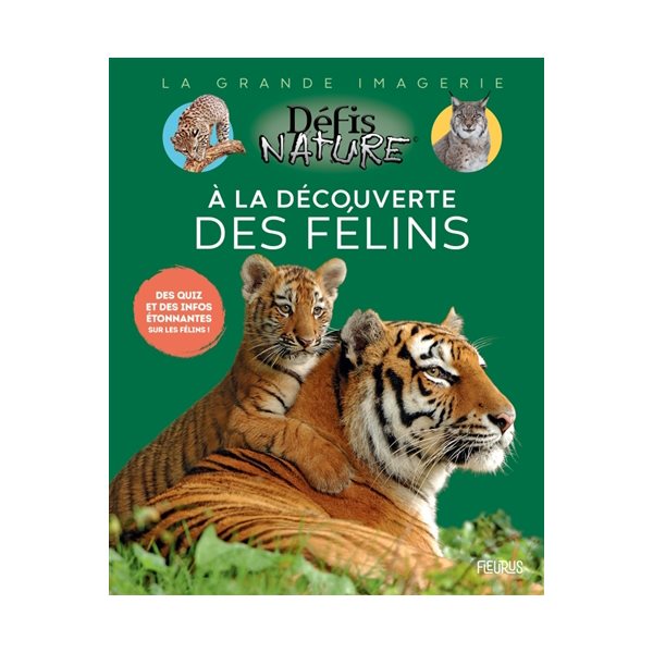 A la découverte des félins : des quiz et des infos étonnantes sur les félins !, La grande imagerie. Défis nature