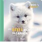 Les bébés animaux du Canada, Mon premier doc photo