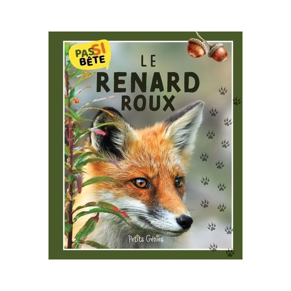 Le Renard Roux, Pas si bête