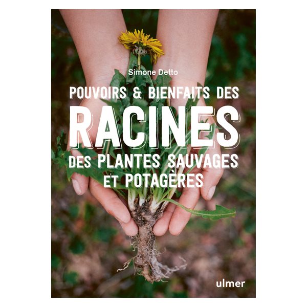Pouvoirs & bienfaits des racines des plantes sauvages et potagères