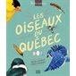 Les oiseaux du Québec, Tome 1, Petits curieux