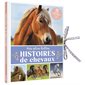 Mes histoires de chevaux, Mon livre posters