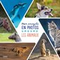Les animaux : mon encyclo en photos