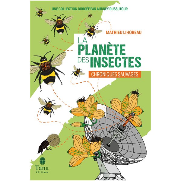 La planète des insectes